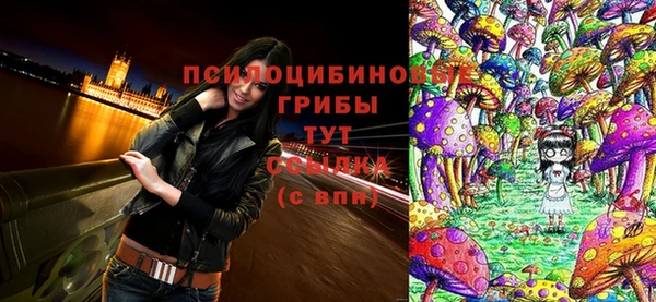 шишки Белокуриха