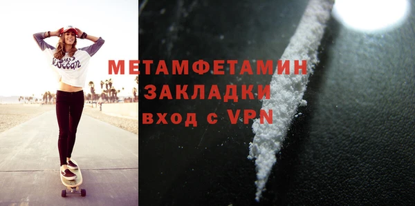 шишки Белокуриха