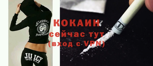 шишки Белокуриха