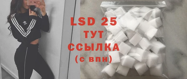 шишки Белокуриха
