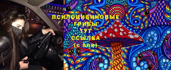 шишки Белокуриха