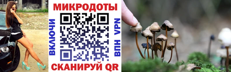 Галлюциногенные грибы Psilocybe  Нахабино 